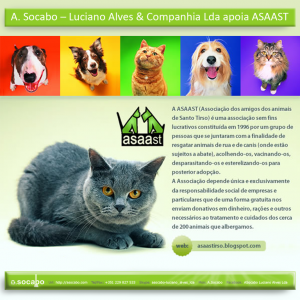 Notícias de Abril 2011